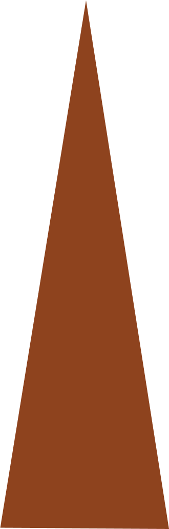 Vector 5